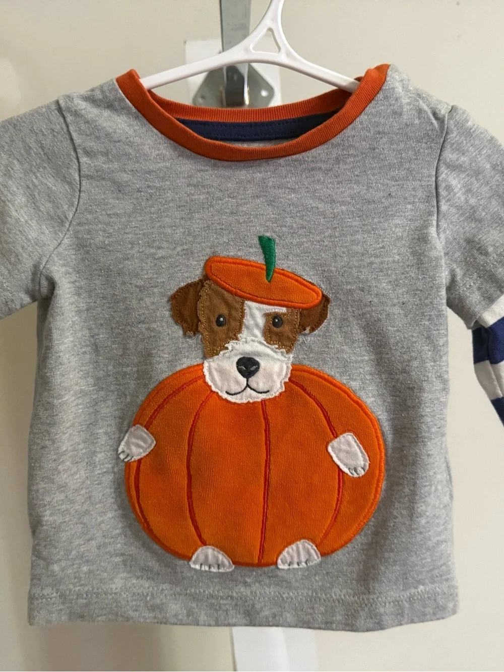 Baby Boden Dog in Pumpkin Appliqué Shirt